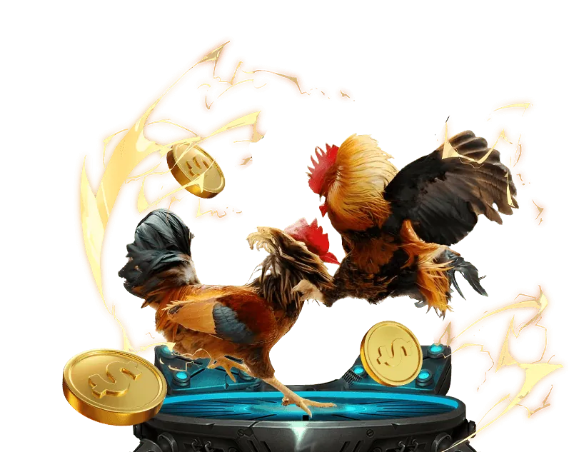 Sẵn sàng trải nghiệm Zom51